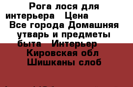 Рога лося для интерьера › Цена ­ 3 300 - Все города Домашняя утварь и предметы быта » Интерьер   . Кировская обл.,Шишканы слоб.